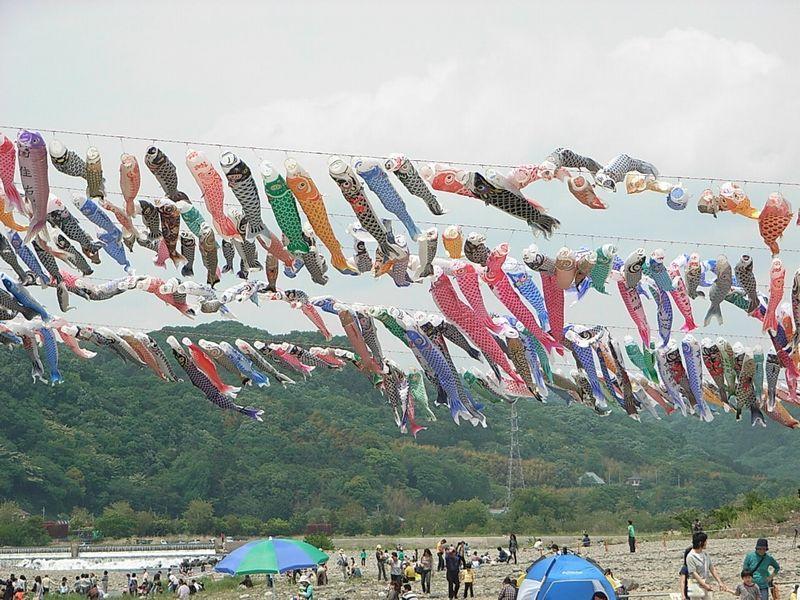 泳げ鯉のぼり相模川イベント会場 Kiteによる空撮 工作 むーちゃん